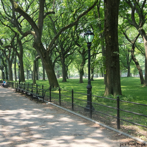 Central Park2011d16c141.jpg
